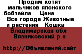 Продам котят мальчиков японского бобтейла. › Цена ­ 30 000 - Все города Животные и растения » Кошки   . Владимирская обл.,Вязниковский р-н